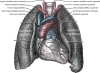 Foto 1 - Ciencia Burgos: Burgos sigue siendo capital pulmonar de España