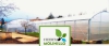 Foto 1 - Local Burgos: Una huerta ecológica en el centro de Burgos