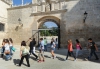 Foto 1 - Universidad Burgos: La XIV Olimpiada de Biología se celebrará el 2 de febrero