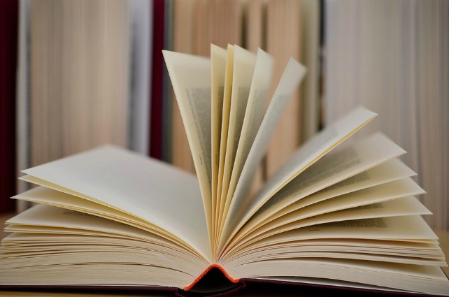 Ponen en circulación en Burgos 1.787 bonos de lectura con un importe de 25 euros