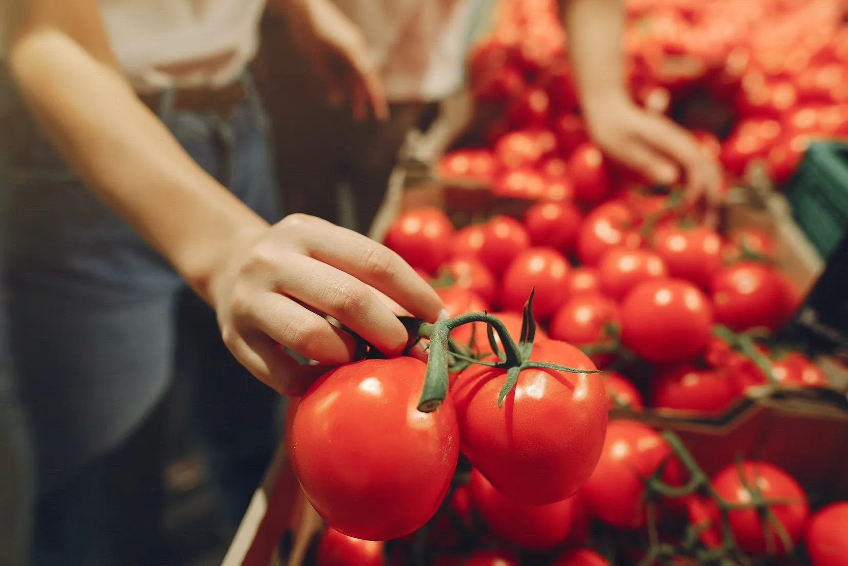 Dos de cada tres consumidores ya priorizan los alimentos locales al hacer la compra