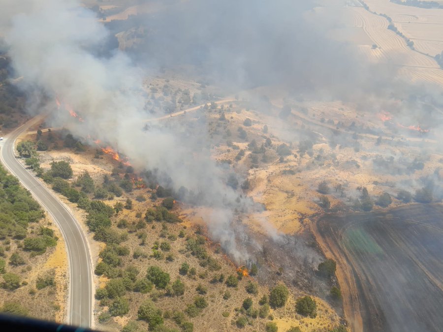 Controlado tras cuatro horas un incendio forestal próximo a la N-1 en Monasterio de Rodilla