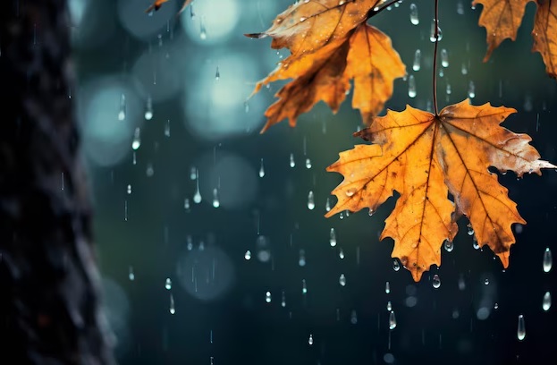 Burgos encara el cambio de tiempo tras un inicio de otoño con temperaturas de verano