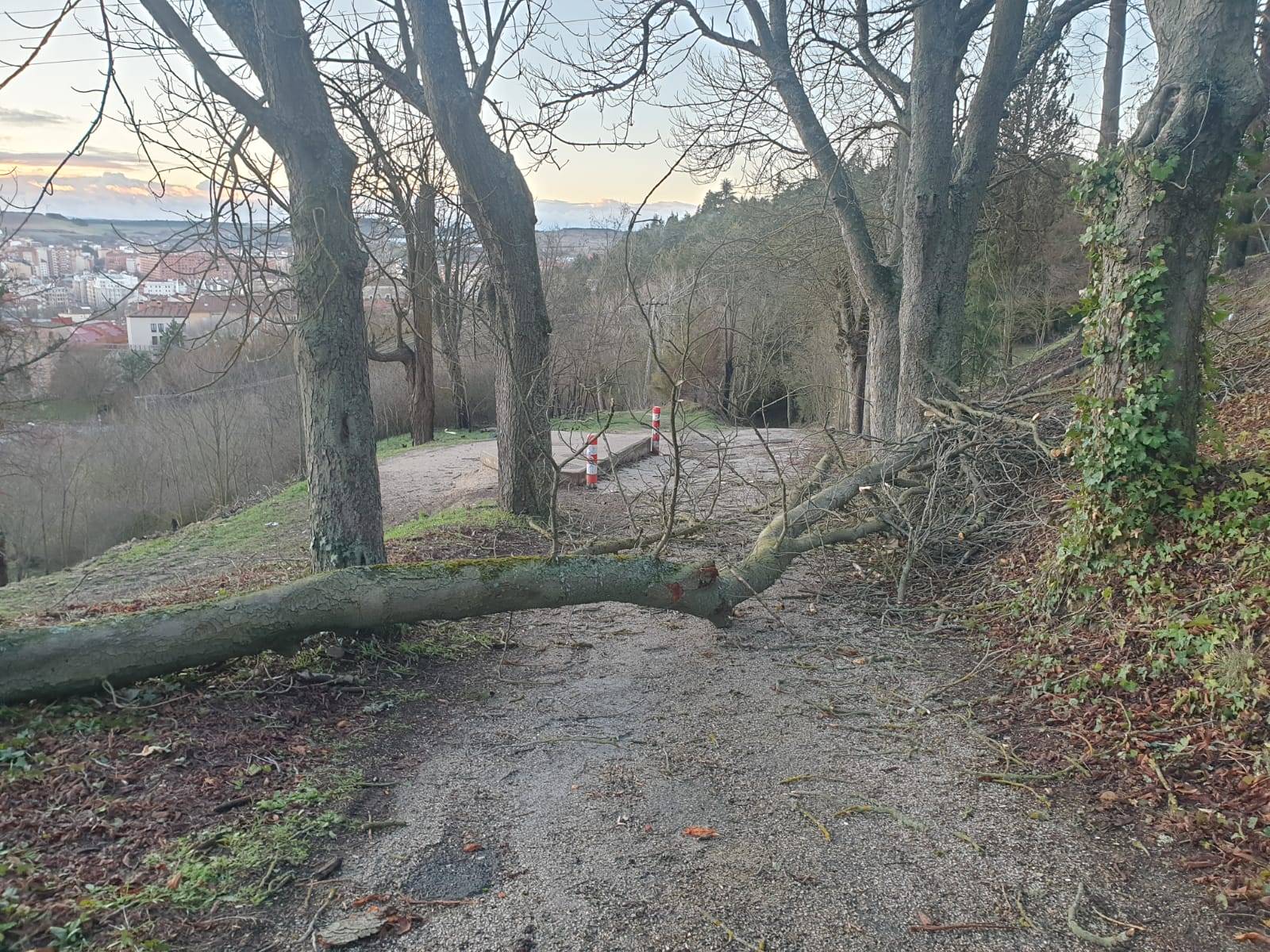 Alerta por tormentas en Burgos: el Ayuntamiento pide extremar la precaución hasta el domingo