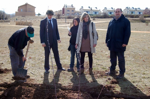 Visita al bosque infantil