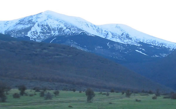 Moncayo