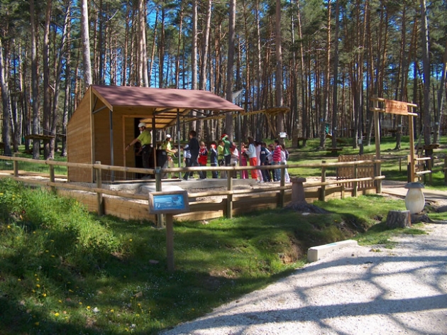 Actividad para los pequeños