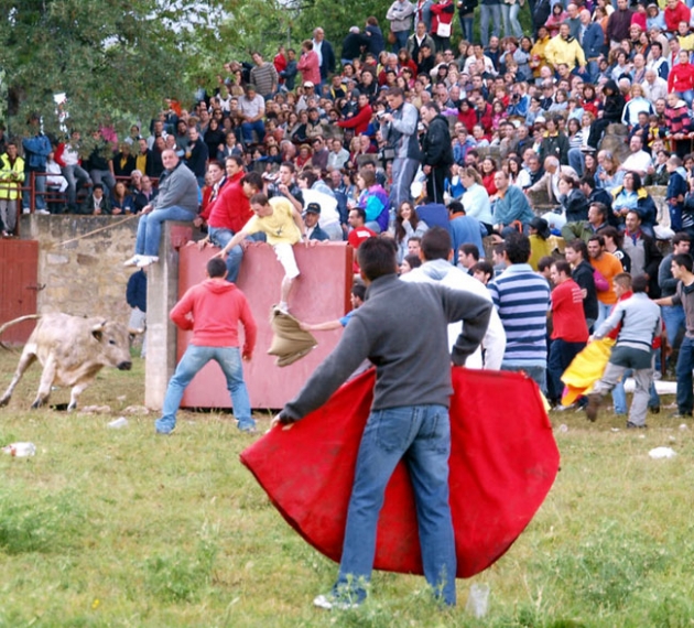 Imagen del Lavalenguas