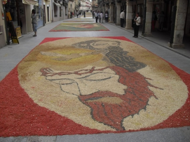 Una de las alfombras de flores