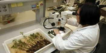 Centro Investigación