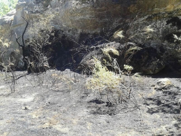 Conato de incendio en Valonsadero