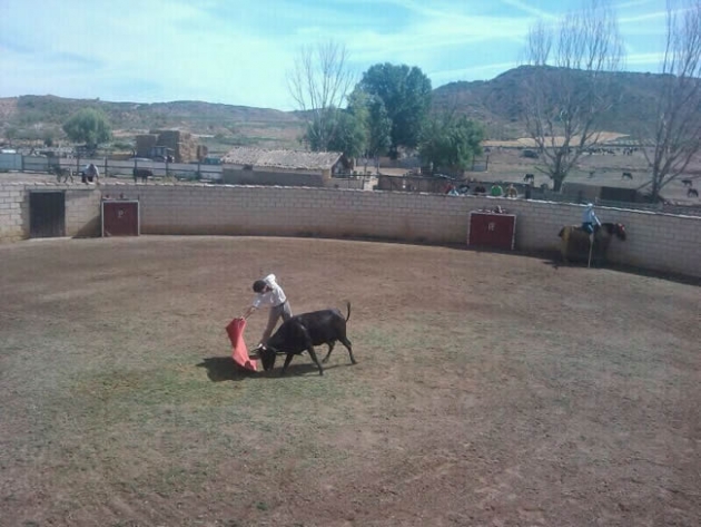 Rubén Sanz ejercitándose