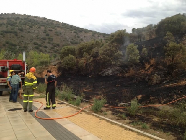 El fuego se inició junto a un paseo.