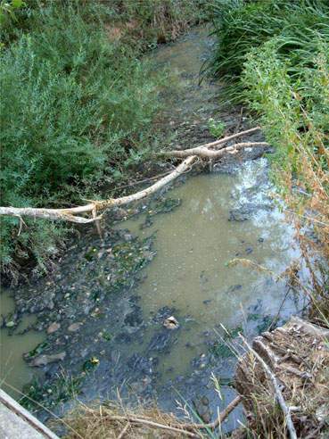 Vertidos al río Golmayo