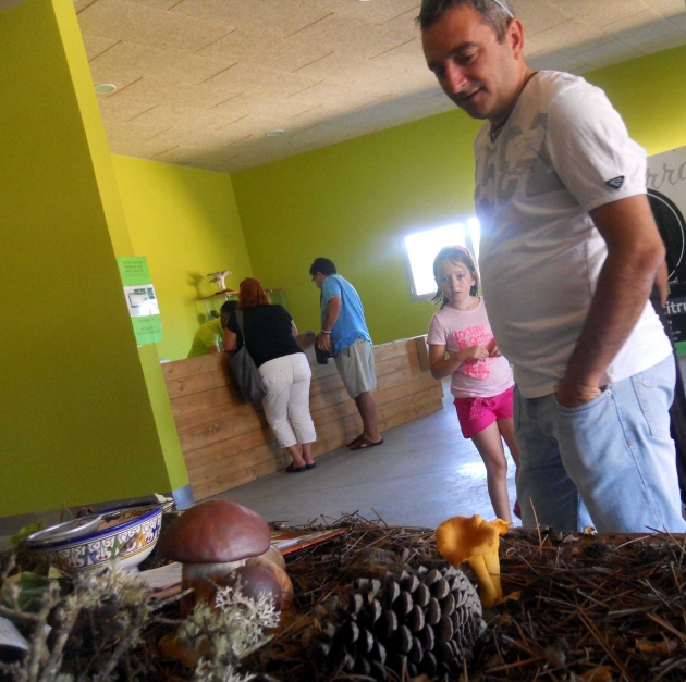 Exposición de las empresas micológicas 