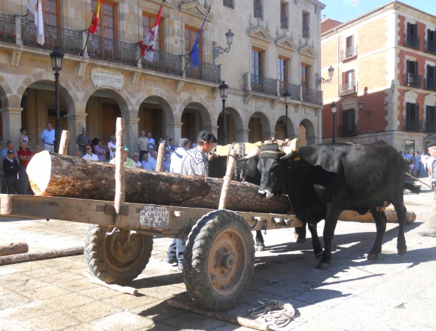 Carga de troncos en la plaza Mayor