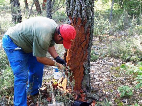 Trabajo de resina en Tardelcuende