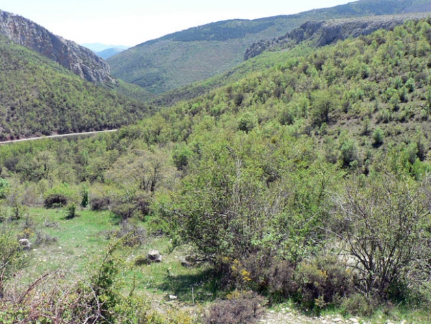 Vista del valle del Isuela desde Beratón