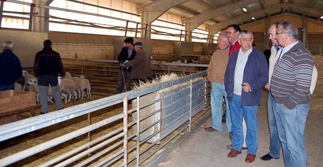 Responsables de Diputación en la explotación ovina