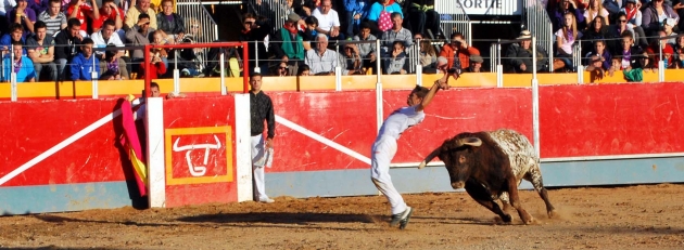 Los recortadores demuestran su técnica