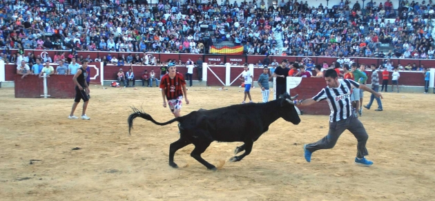 Un recorte de anillas