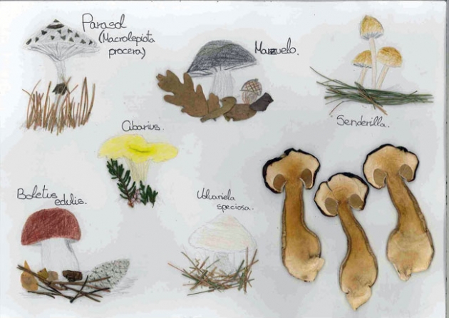 Mención especial a María Milla