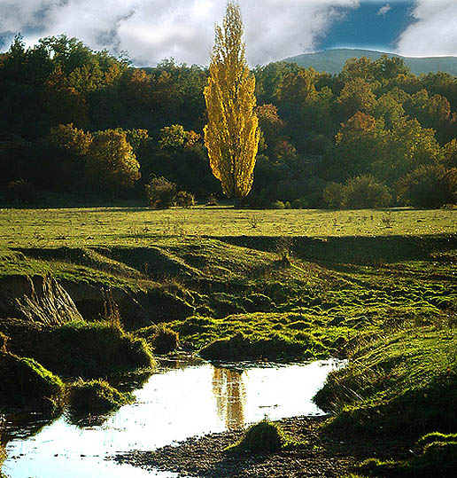 Se busca preservar este bello espacio
