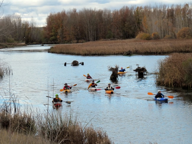 Piragüistas por el Duero a su paso por Almarail