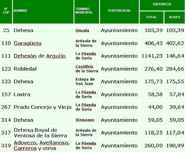 Acebales en la provincia