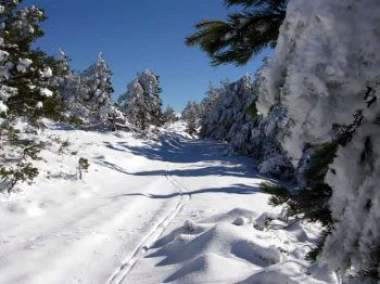 Pista de fondo en Santa Inés