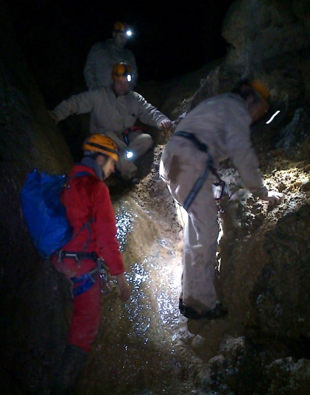 Una de las actividades realizadas