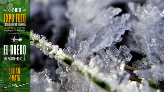 Cartel de la exposición