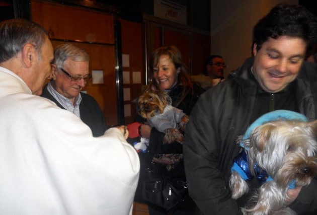 Bendición de animales