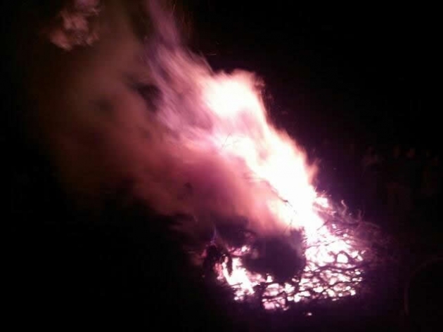 Hoguera de la Luminaria 2013