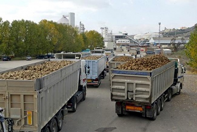 Camiones a la entrada de la factoría