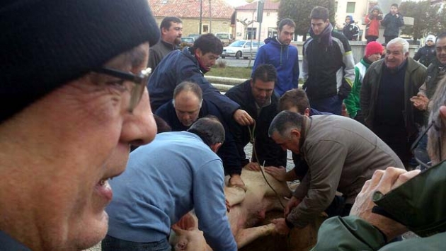 Sacrificio del cerdo en Quintana