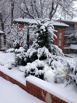 Nieve caída en Ágreda hoy
