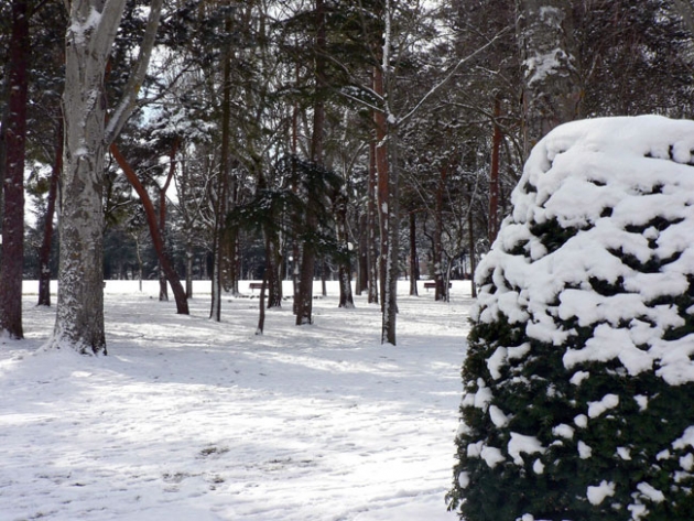 Aspecto de la Dehesa