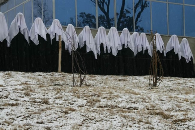 fotograma de The death row