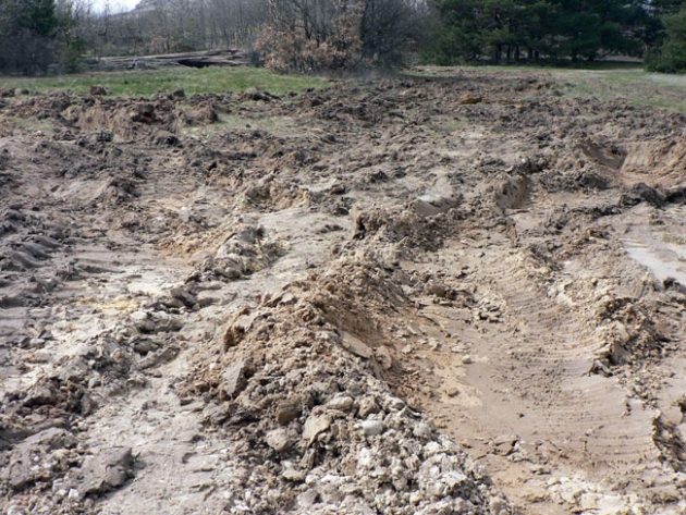 El suelo vegetal natural ha sido arrasado