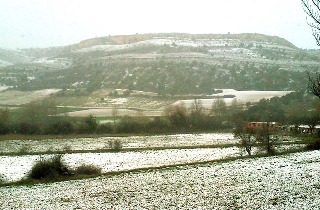 Montes en Fuentetoba hoy