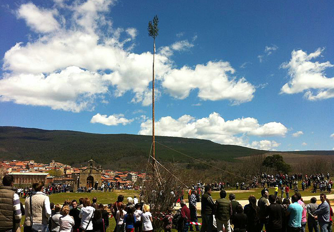 El tronco vertical finalmente clavado