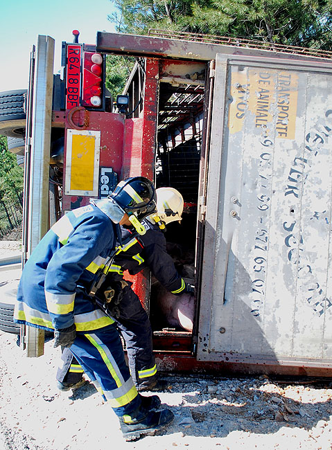 Bomberos burgenses inspeccionan la carga