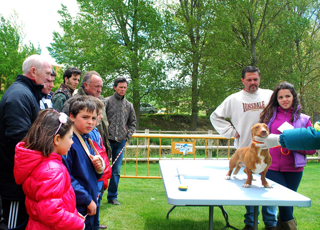 Un momento del concurso de manetos.