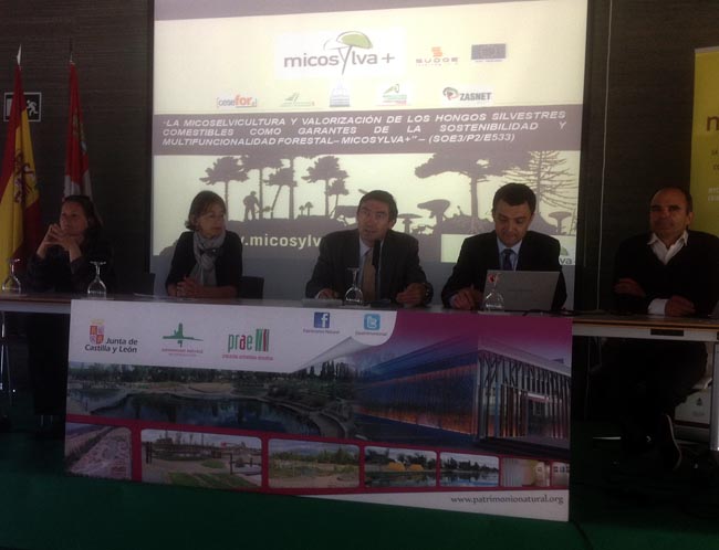 Clausura del Micosylva+