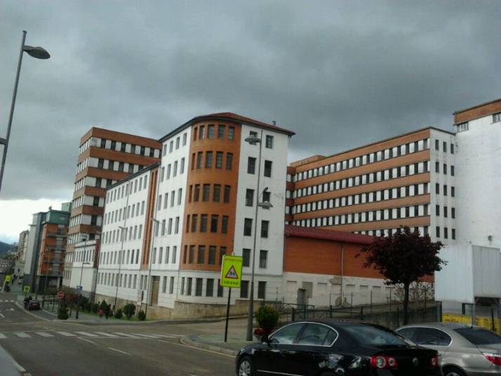 Planta de Revilla en Ólvega esta mañana