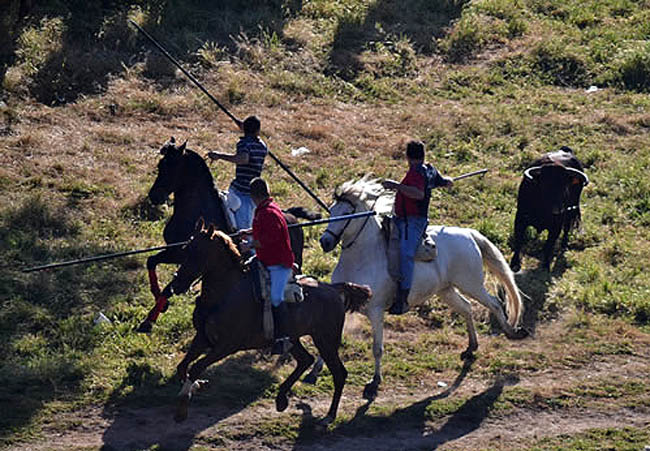 Caballistas en la Comprilla