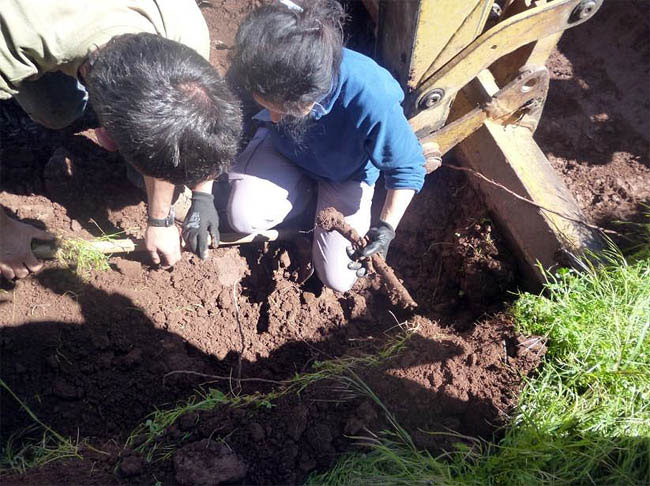 Hallazgo de los restos