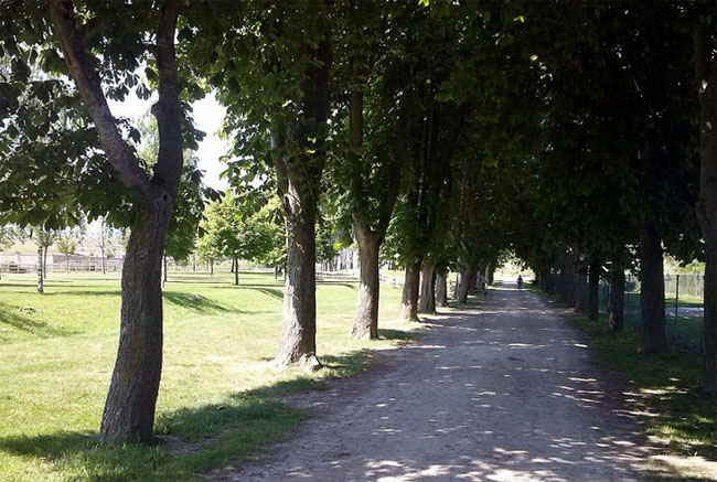 Espacio de la Dehesa agredana.