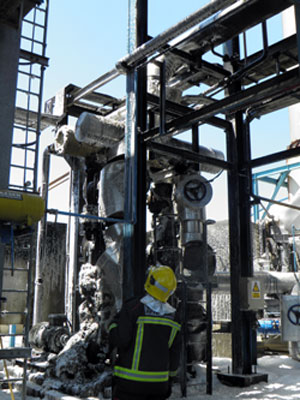 El fuego afectó a la planta de cogeneración